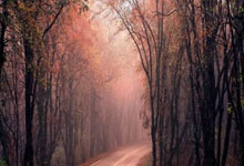 天涯社区职场那些事儿：从月入过万到不见人影的工资真相!